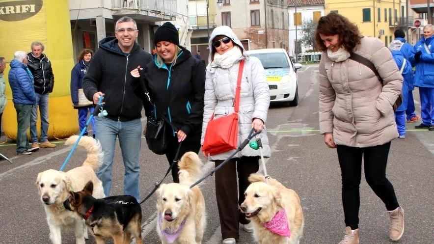 Scatta il provinciale su strada Vaskovniuk e la Chubak primi