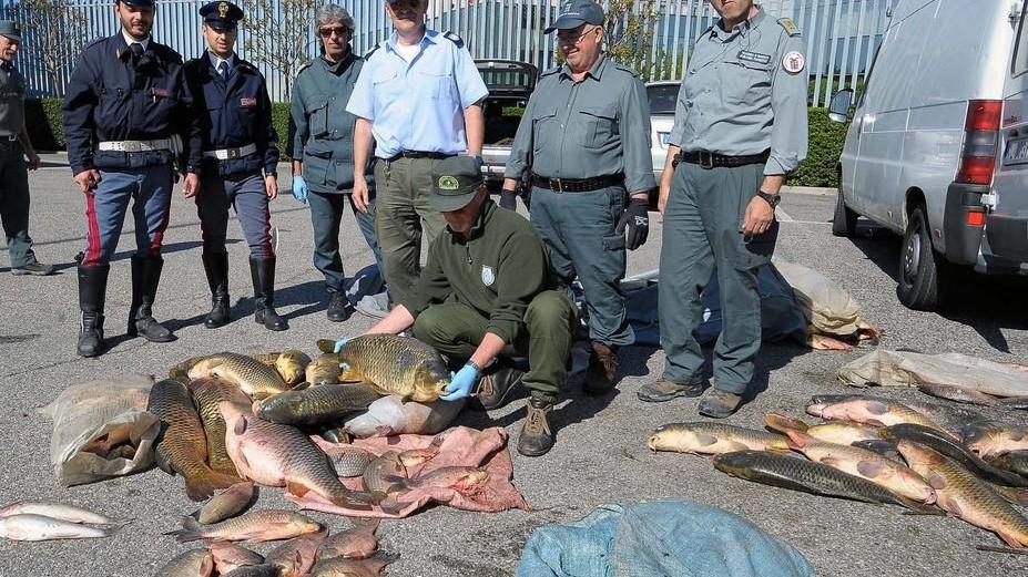 Scacco matto ai predoni del Po, scovati due bracconieri
