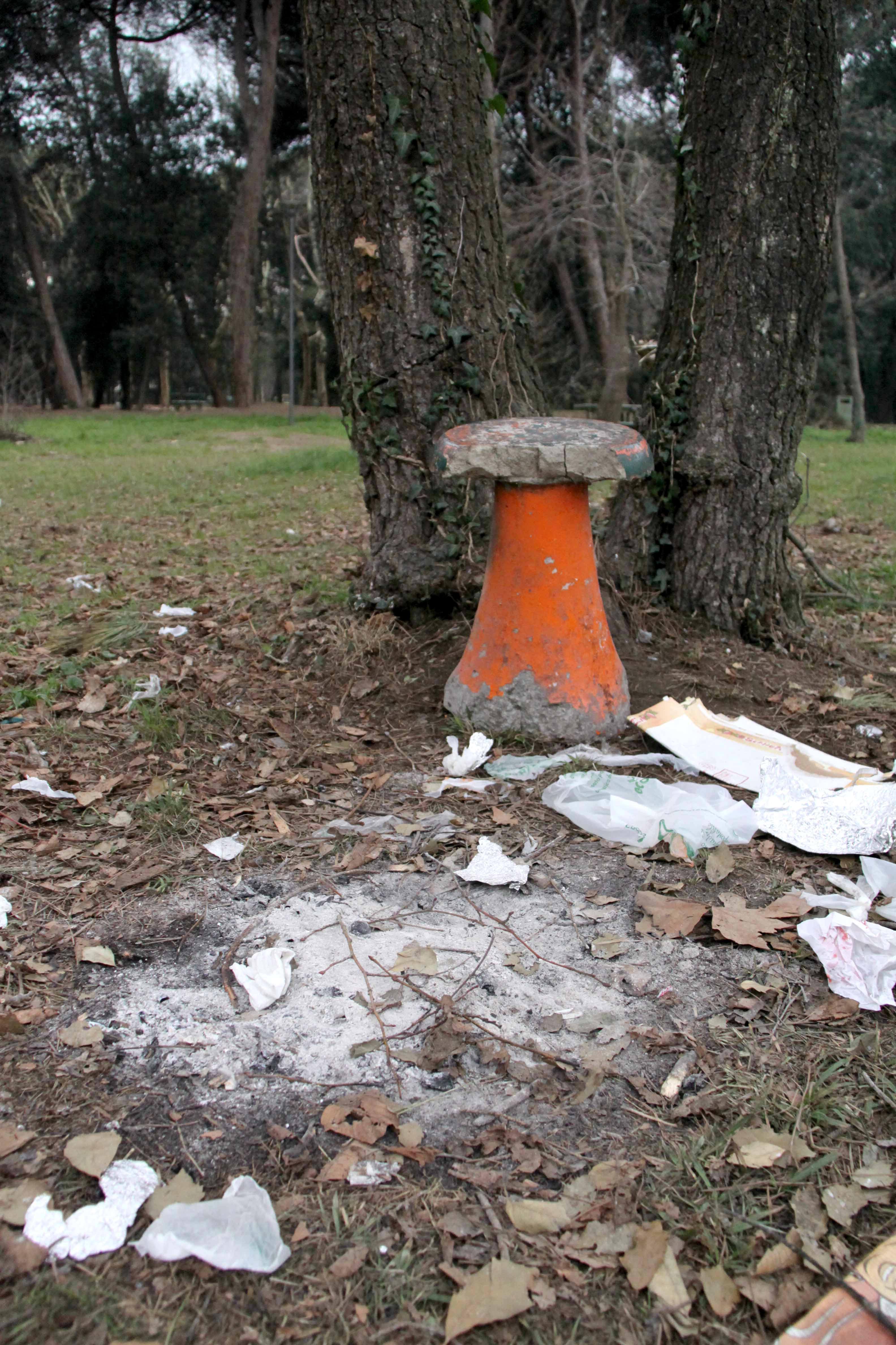 I resti di un bivacco in pineta