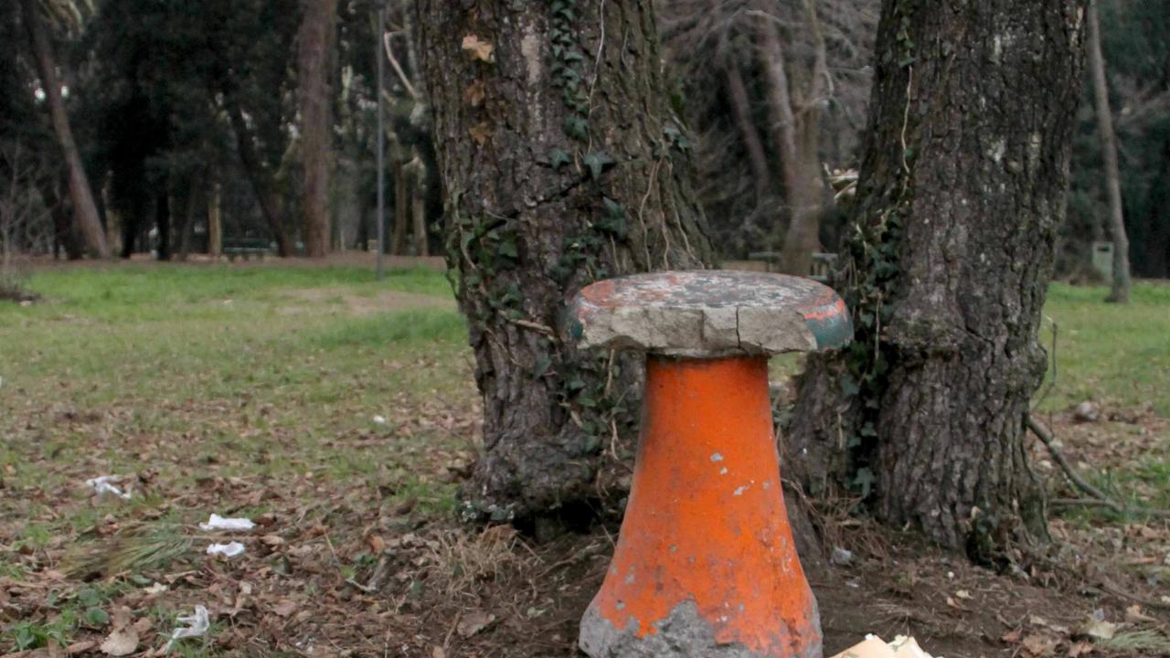 I resti di un bivacco in pineta