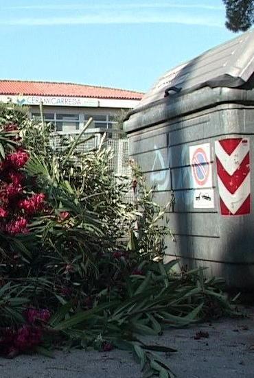 «Non eliminate il servizio porta a porta degli sfalci»