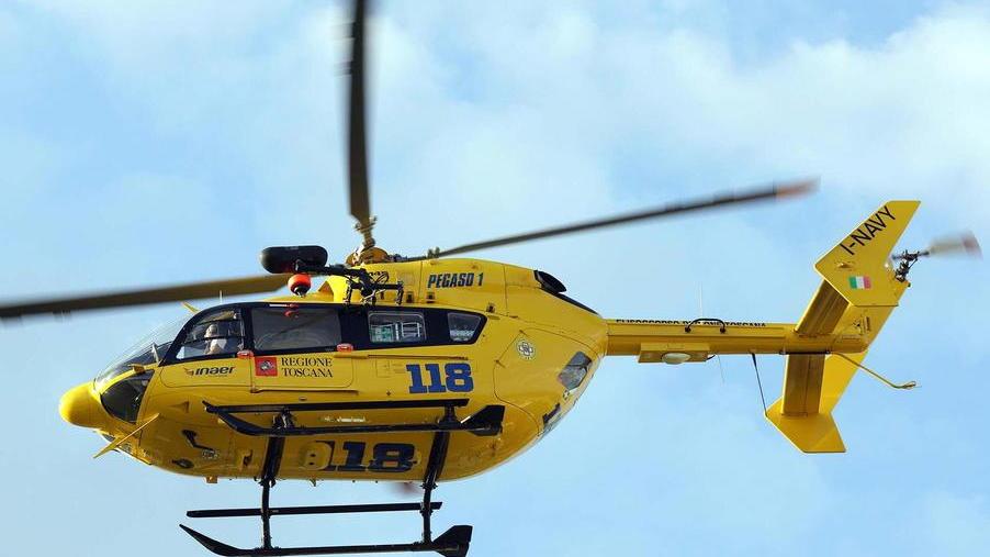 L’albero crolla nel campo e uccide un pensionato