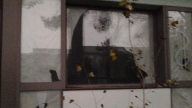 La struttura mai aperta a Lido Spina
