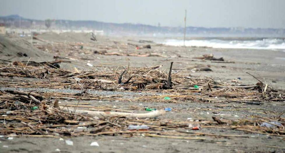 Massa, spiaggia invasa da rifiuti: maxi pulizia a Pasqua 
