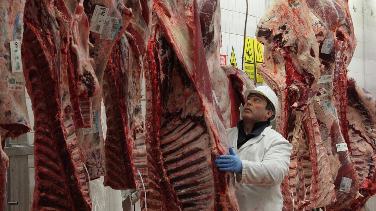 Unipeg e Assofood nel gruppo Cremonini