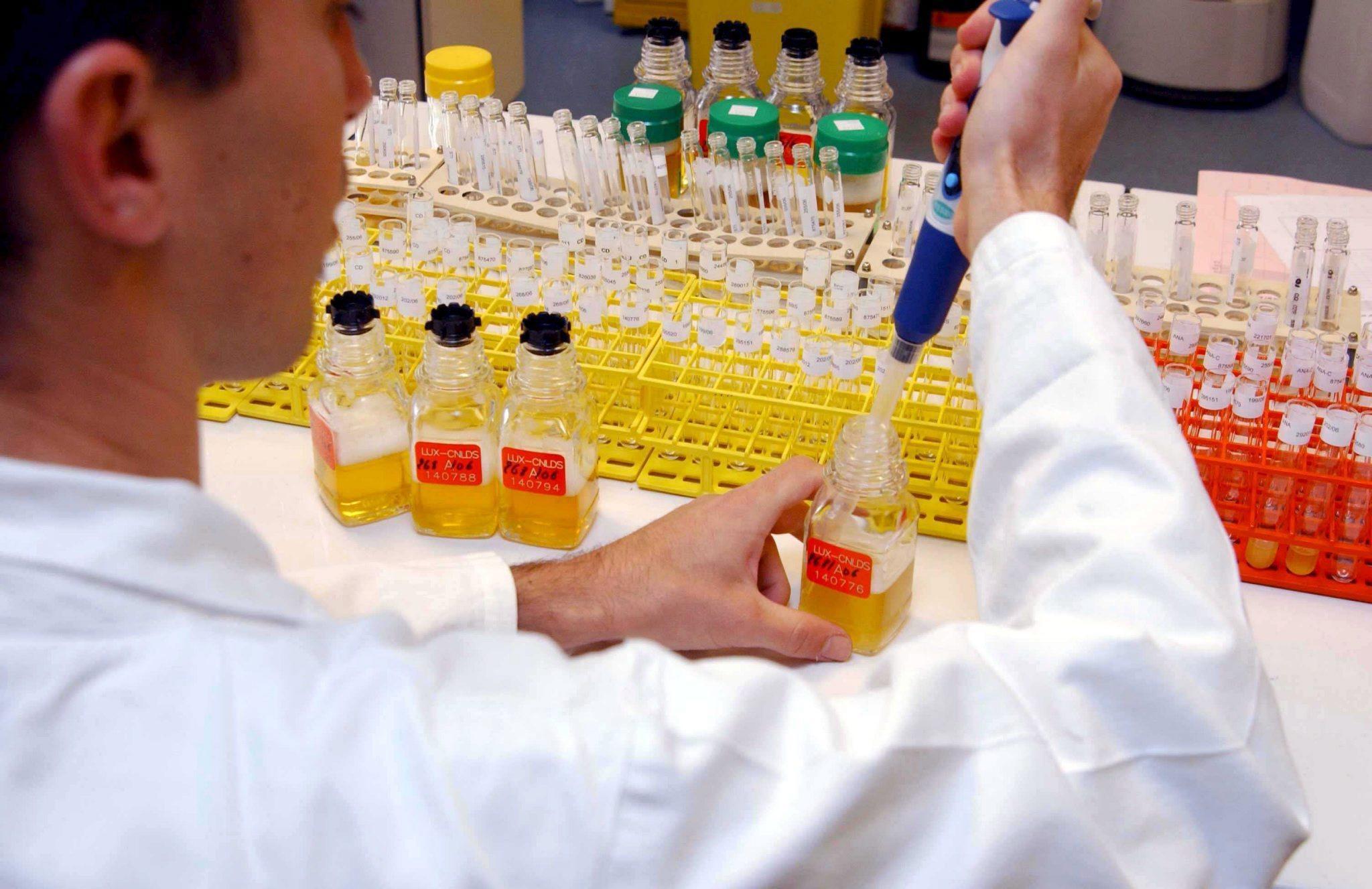 Morbillo, torna il rischio di epidemia a Reggio Emilia