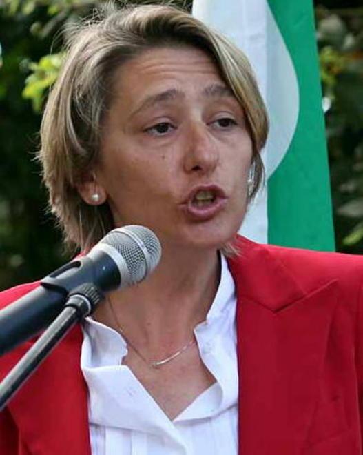 Medaglia a SS, il caso in parlamento 