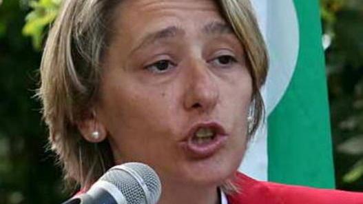 Medaglia a SS, il caso in parlamento