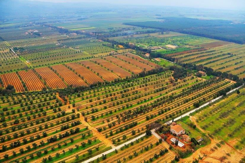 Campagne e vigne a Bolgheri