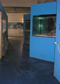 L’acquario potrà aumentare i propri spazi