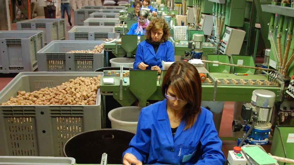 Lavoro, segnali di ripresa in Sardegna: in calo i disoccupati