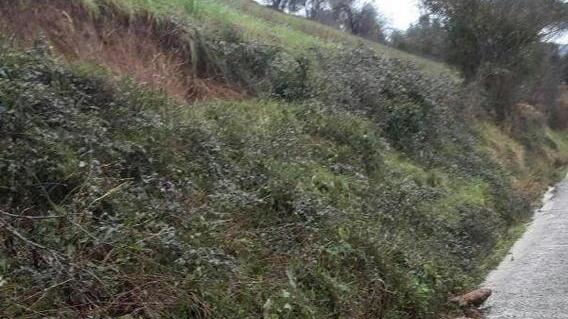 Il nuovo fronte della frana lungo la strada