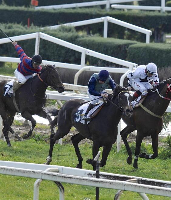 Galoppo, Chicca’s Force favorita al Casalone