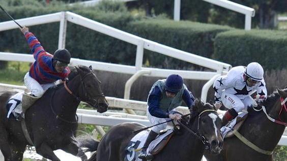 Galoppo, Chicca’s Force favorita al Casalone
