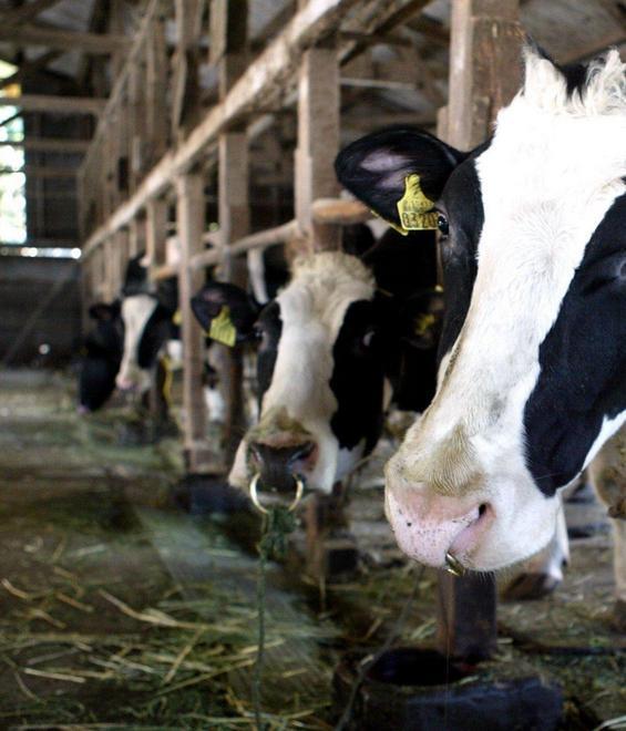 Coldiretti chiede una moratoria sui mutui
