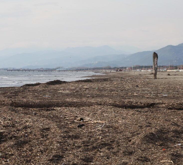 Spiagge invase dal lavarone balneari in ansia per Pasqua 