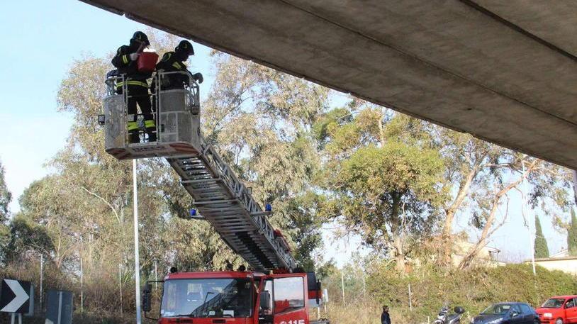 Crollo di calcinacci dal ponte a La Rosa: i pezzi d’intonaco finiscono sulla strada