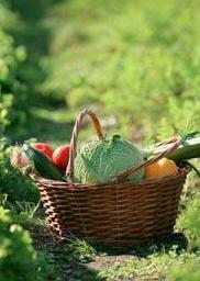 La siccità non fa più paura: al Lerno ritorna l’acqua 