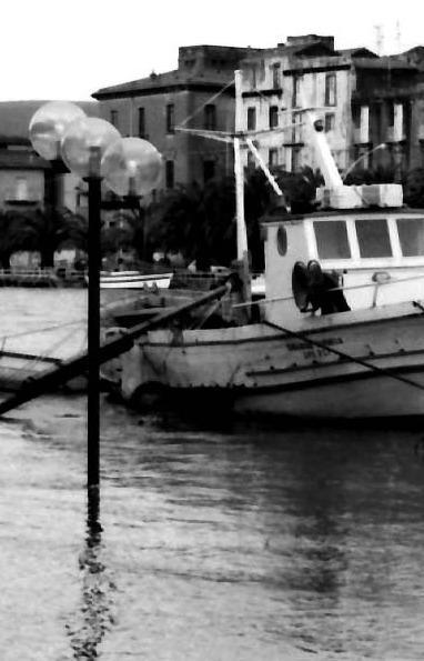 Una giornata di pioggia e il Temo fa paura 