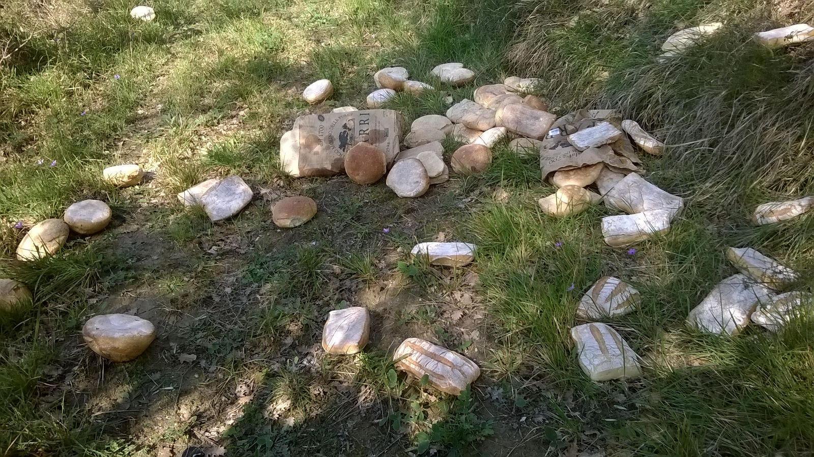 Il pane gettato nel campo