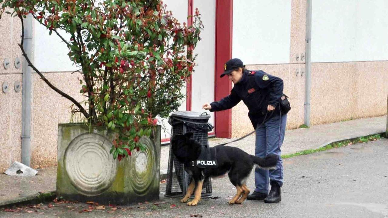Ferrara, controlli nelle scuole con i cani antidroga