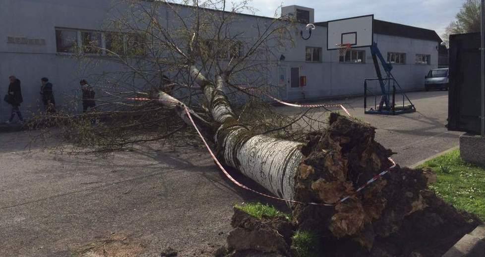 Ferrara: cadono pannelli, alberi e antenne 