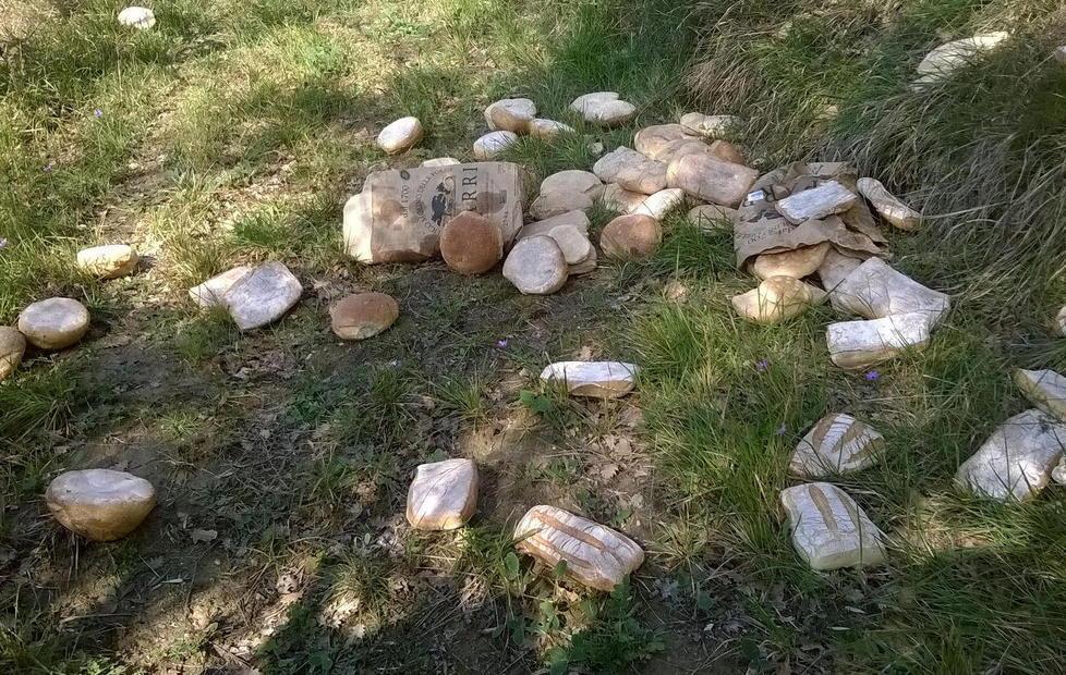 Chili di pane gettati in un campo 