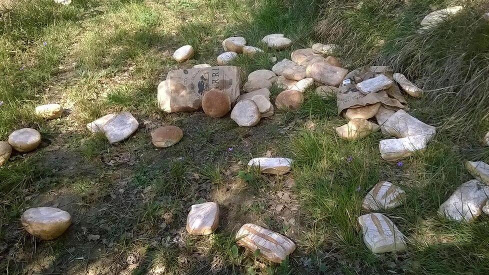 Chili di pane gettati in un campo