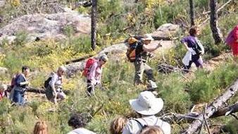 I passi al ritmo del respiro camminata sul Monte Pisano