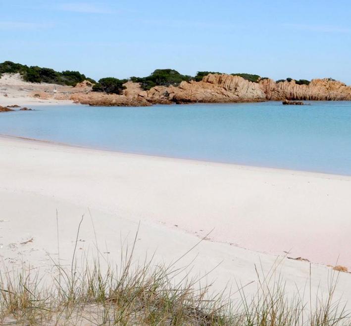 Budelli è libera Il Parco: «Ora diventi l’isola dei ragazzi» 