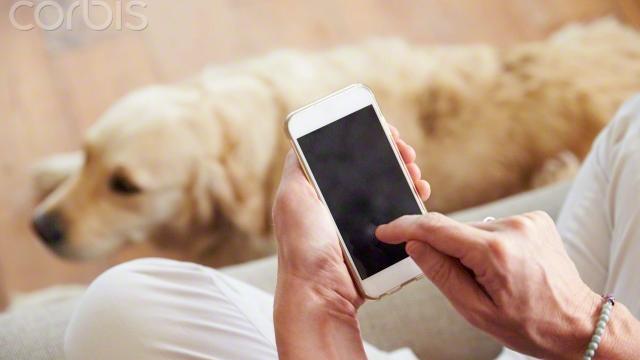 Dai malori allo stupro, gli smartphone non rispondono alle richiesta di aiuto