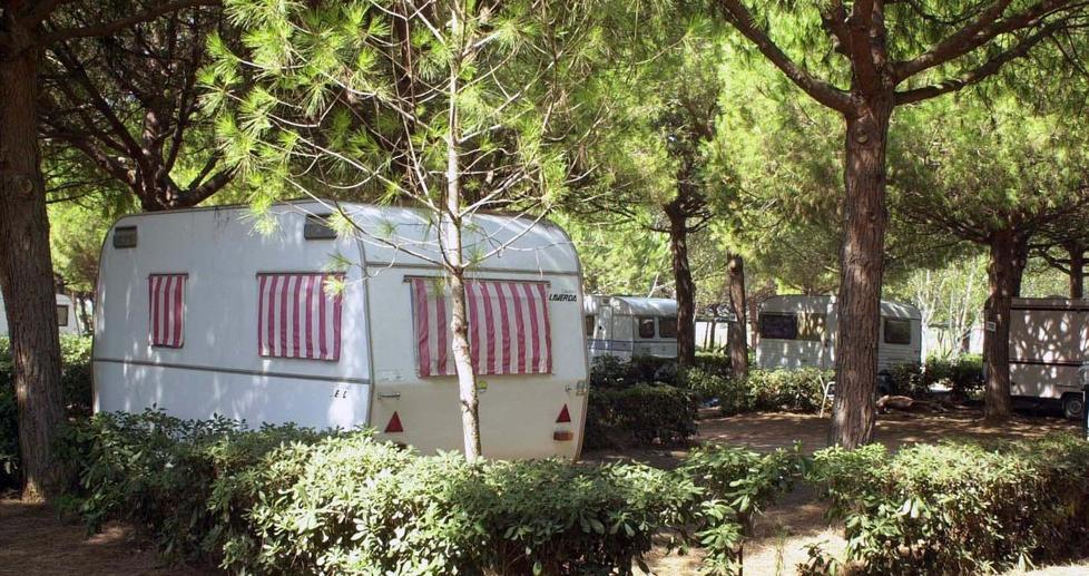 C’era una società pronta a gestire il campeggio 