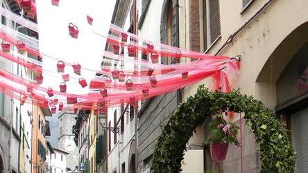 Un fine settimana immersi nei colori delle azalee