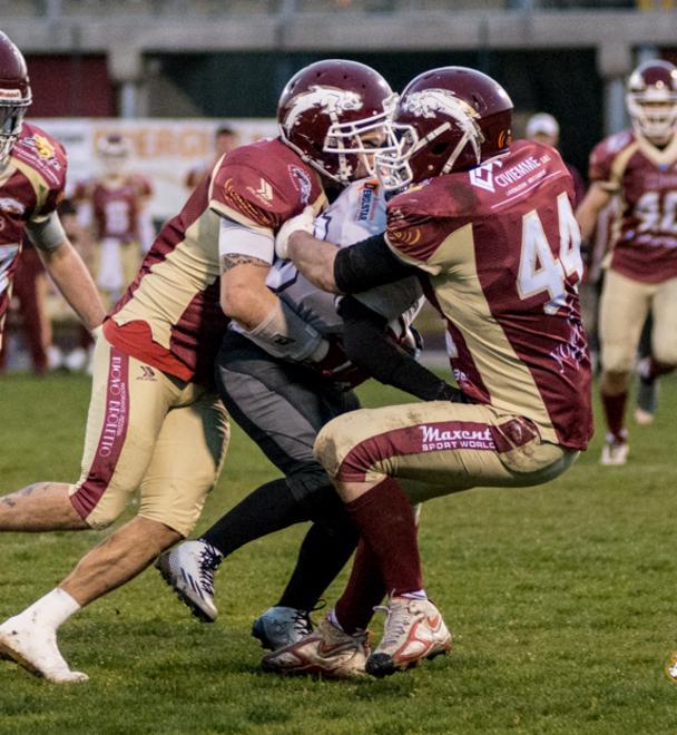 Hogs troppo forti, travolti i Blacks 