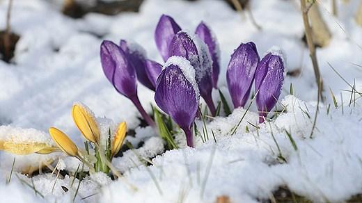 Meteo: ultima neve, poi arriva il sole