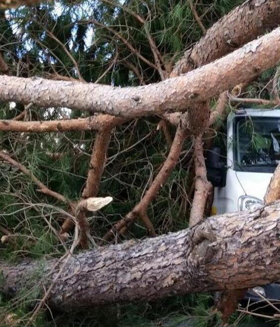 Soldi alle ditte per i lavori del 5 marzo: si spera vada tutto liscio 
