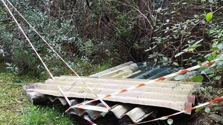 Lastre di eternit abbandonate in pineta a Marina di Castagneto