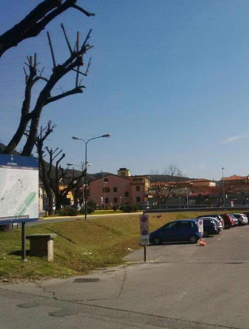 Proteste per le potature alla Pesa 