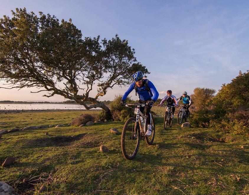 Mountain bike per tutti 