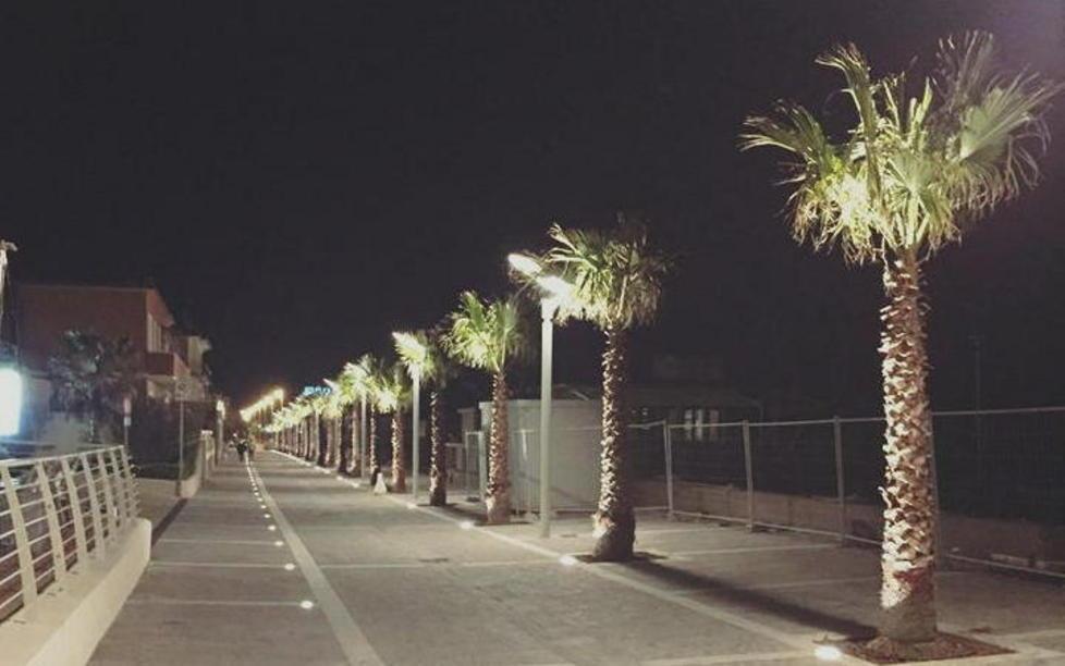 Le palme piantate sul nuovo tratto di passeggiata