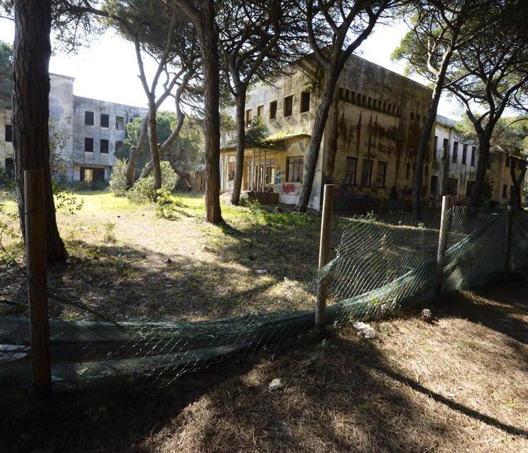 Colonie, incolumità a rischio: scatta l’ordinanza 