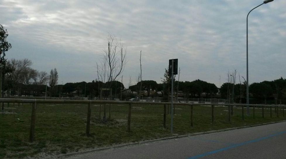 Zona di sosta selvaggia trasformata in area verde