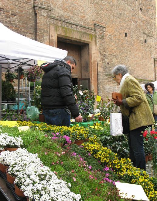 Con Modena in Fiore colori e profumi invadono il centro 