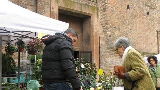 Con Modena in Fiore colori e profumi invadono il centro