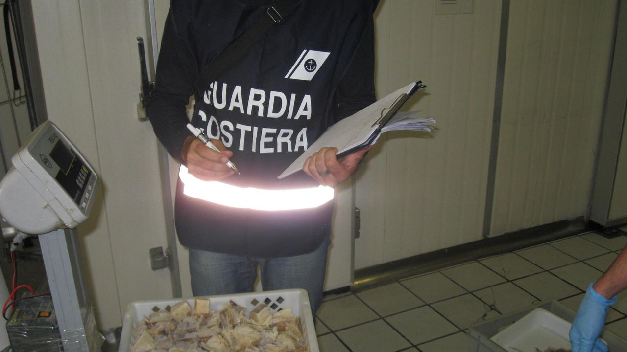 I sequestri della Guardia di Costiera