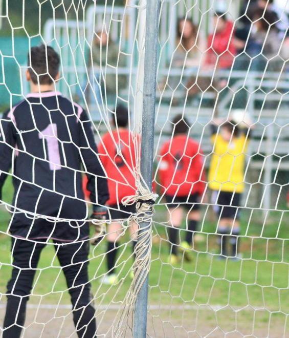 La Pisa World Cup debutta all’Arena 