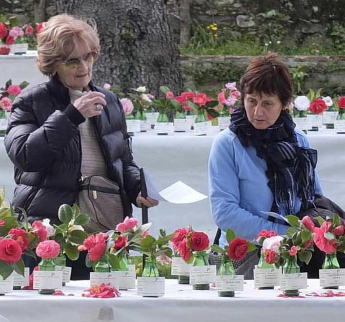 Concerti, teatro, camminate Nicosia pronta per la kermesse