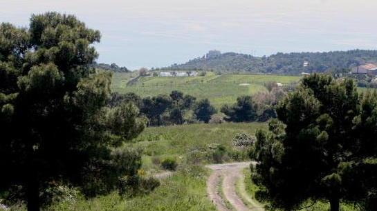 La strada dei Mille torna percorribile