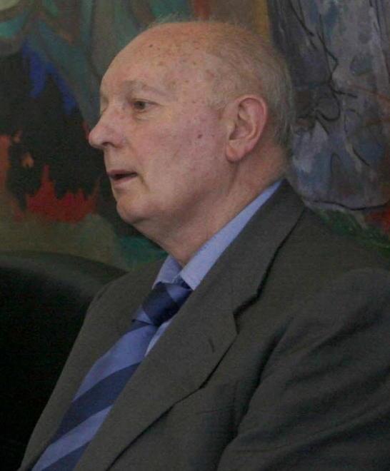 i revisori dei conti