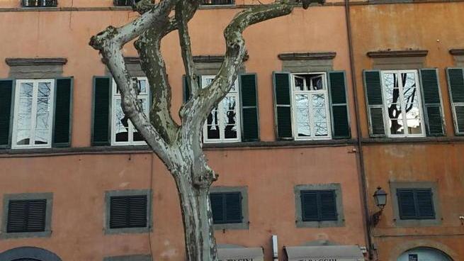 Giù uno dei giganti di piazza Napoleone